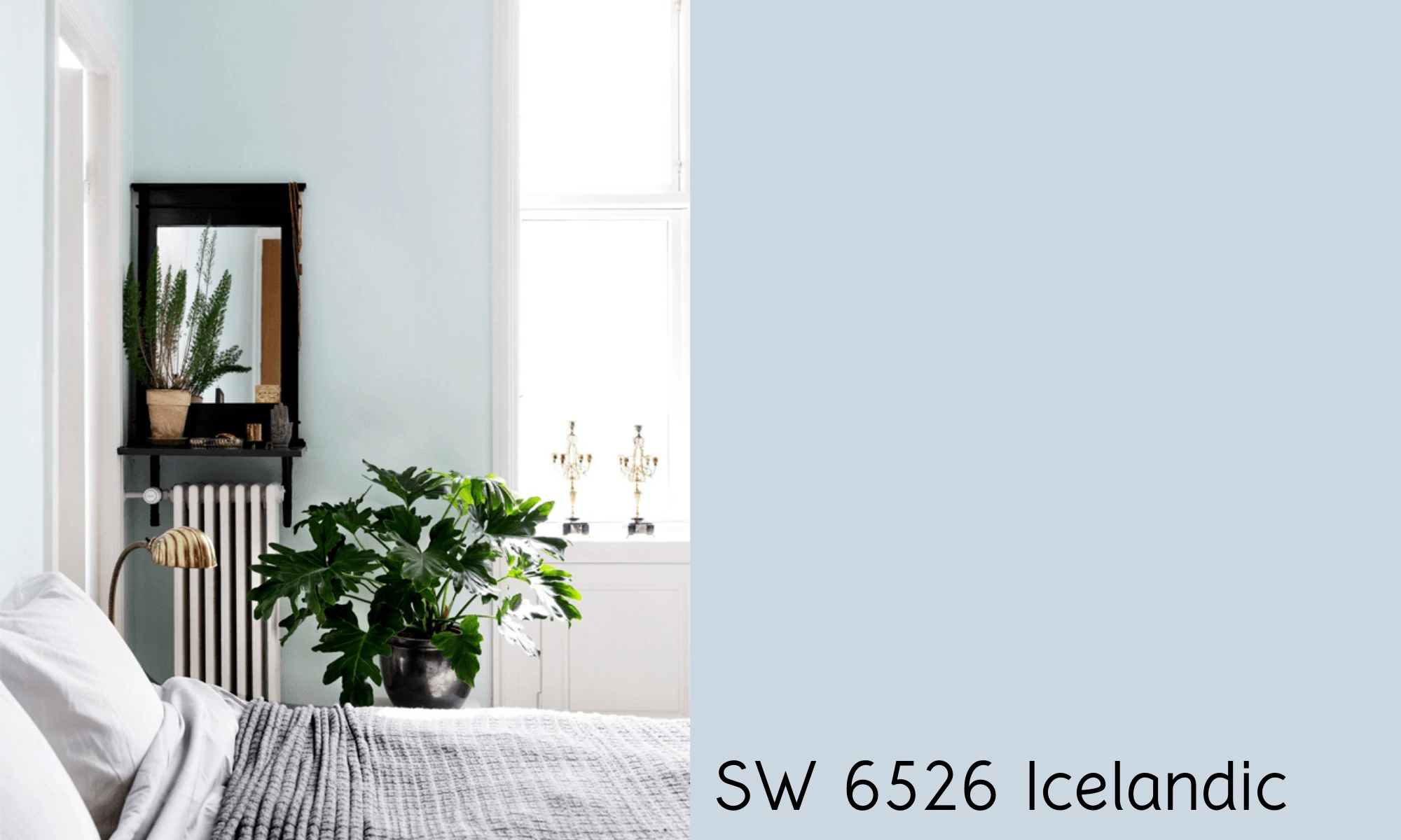 Interior Wall Paint